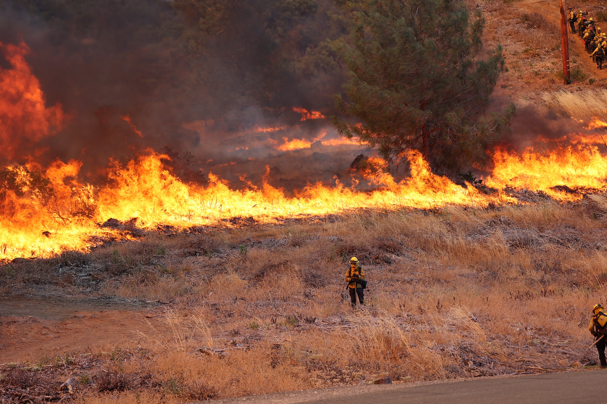 Park fire in Chico