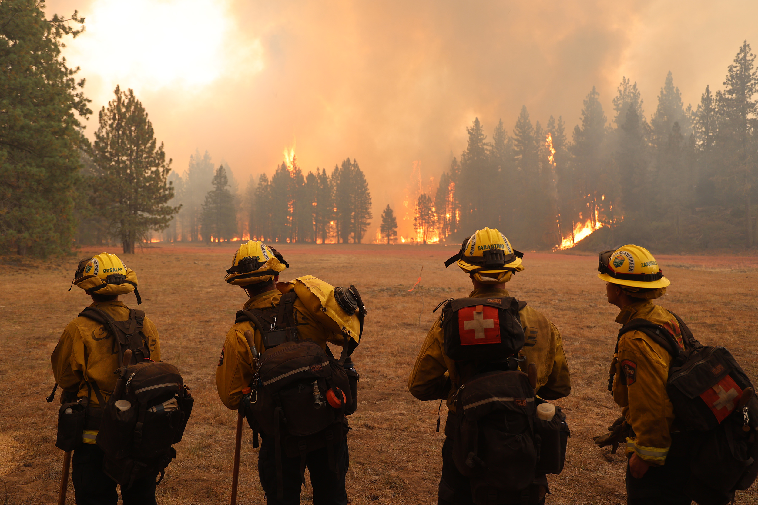 Four firefighters in a field facing a fire.