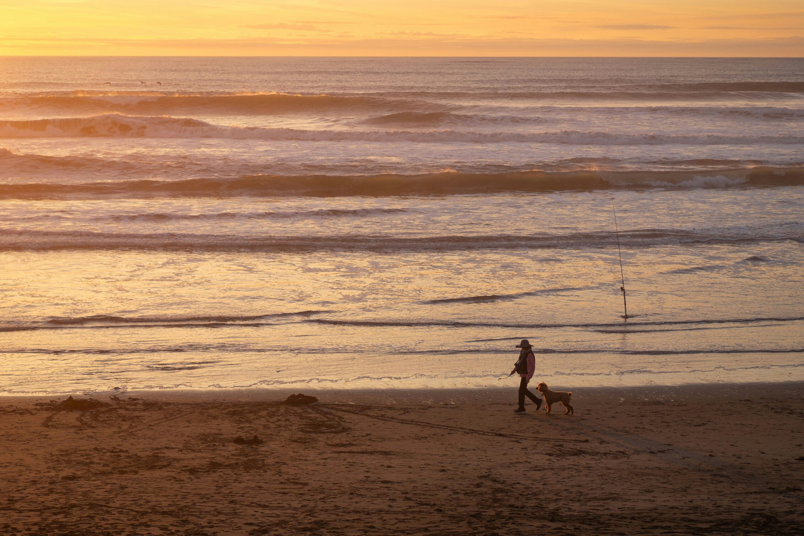 California coastline in the sunset